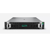 HPE PL DL380g11 4510 (2.4G/12C) 2x32G (p64706) 1x7.68TB 2x1000W 8SFF NVMe EmbSATAcontr 4p1G HPfans Smart Choice