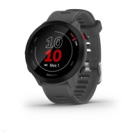 Garmin GPS sportovní hodinky Forerunner 55 Grey, EU