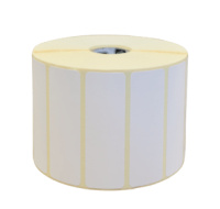 Zebra Z-Perform 1000D, thermal paper, removeable, 102x102mm