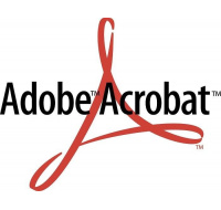 Acrobat Standard  2020 WIN ENG NEW GOV Lic 1+ (360)