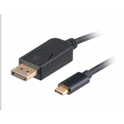 AKASA adaptér USB Type-C na DisplayPort, kabel, 1.8m