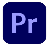Premiere Pro for teams MP ML COM NEW 1 User, 12 Months, Level 4, 100+ Lic