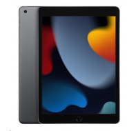 APPLE iPad 10,2" (9. gen) (2021) Wi-Fi 256GB - Space Grey