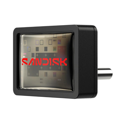 SanDisk Flash Disk 1TB Extreme Fit, USB-C, Černá