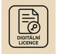 PAC-MAN 256 (PC) klíč Steam