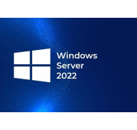 HPE Windows Server 2022 CAL 1 User