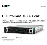 HPE PL DL385g11 AMD EPYC 9115 (2.6/16C) 2x32G (P64985) 1x7.68TB NVMe 2x1000W 8SFF 2p10GT Smart Choice