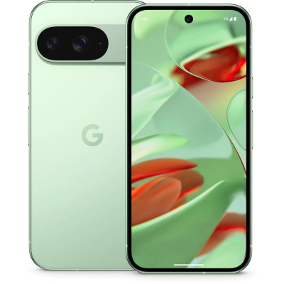 Google Pixel 9 - 256GB Wintergreen, EU